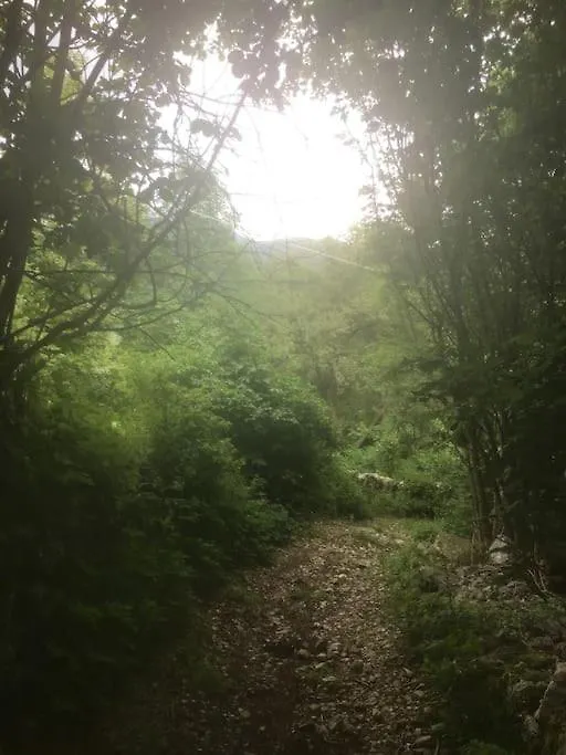 Ca' Rosina. Una Casetta Nel Bosco. Ferrara di Monte Baldo Holiday home