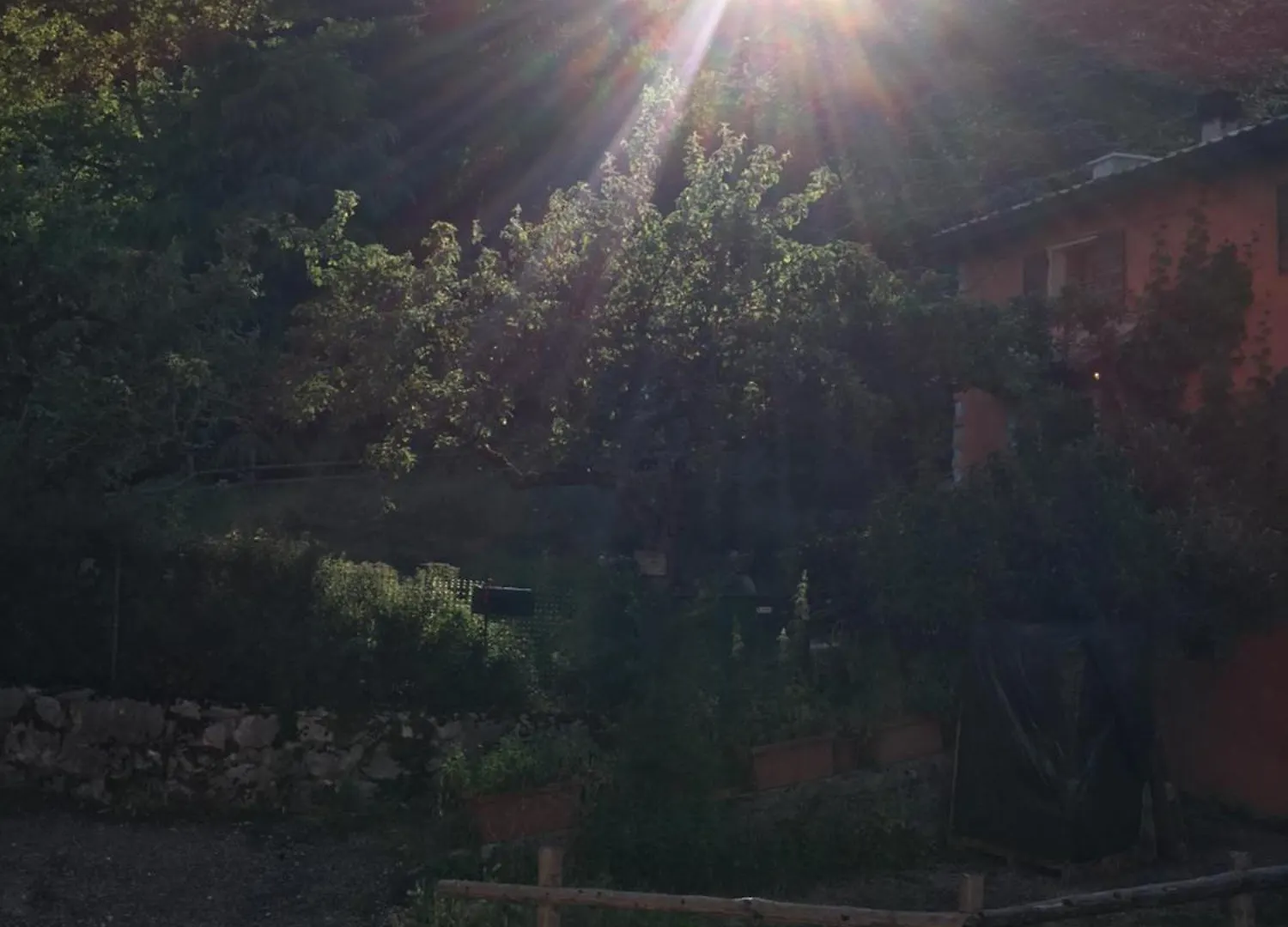 Ca' Rosina. Una Casetta Nel Bosco. Ferrara di Monte Baldo 0*,