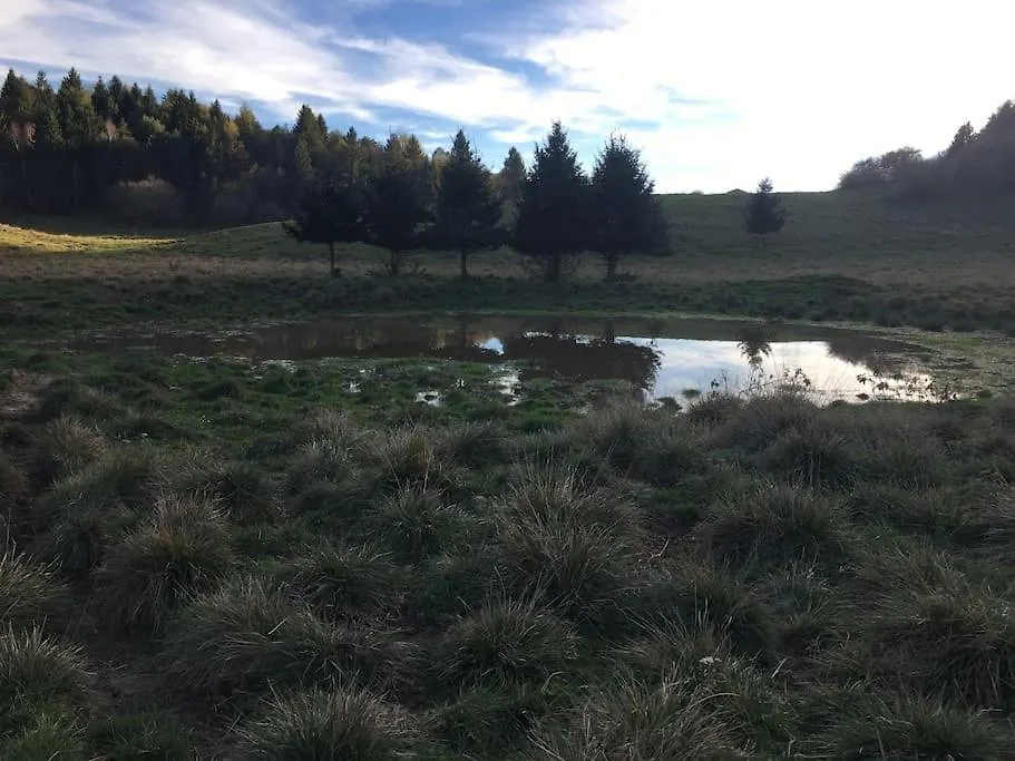 Ca' Rosina. Una Casetta Nel Bosco. Ferrara di Monte Baldo 0*,  意大利