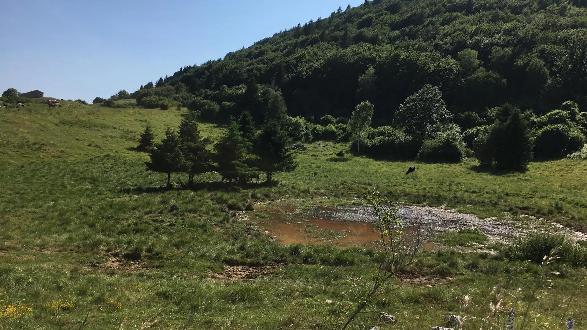 Ca' Rosina. Una Casetta Nel Bosco. Ferrara di Monte Baldo 0*,  意大利